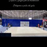 17868370772996629_ginnasticaritmicatoscana